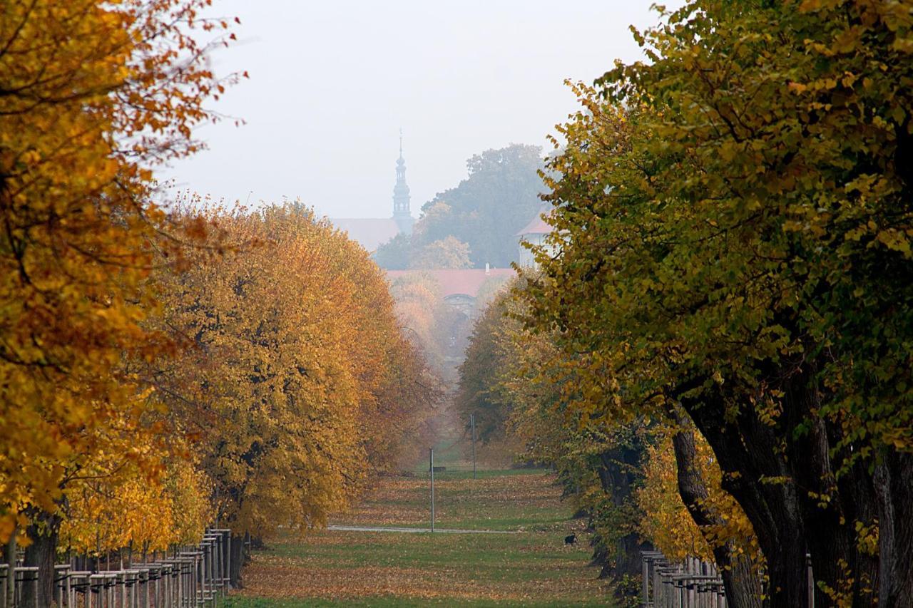 Apartmán U krále Tylova 515 Jičín Exteriér fotografie